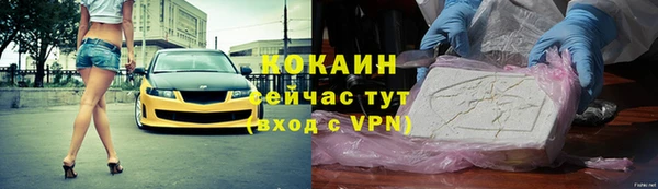 стаф Няндома