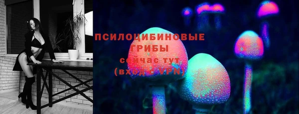соль ск Нягань