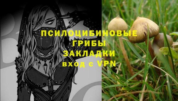 герыч Нязепетровск