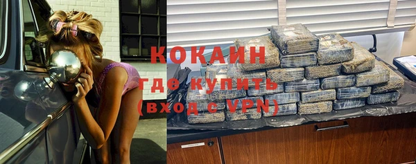 стаф Няндома