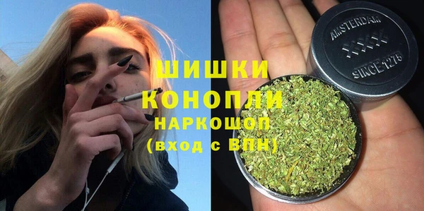 стаф Няндома