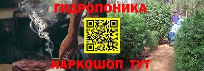 PSILOCYBIN Кингисепп