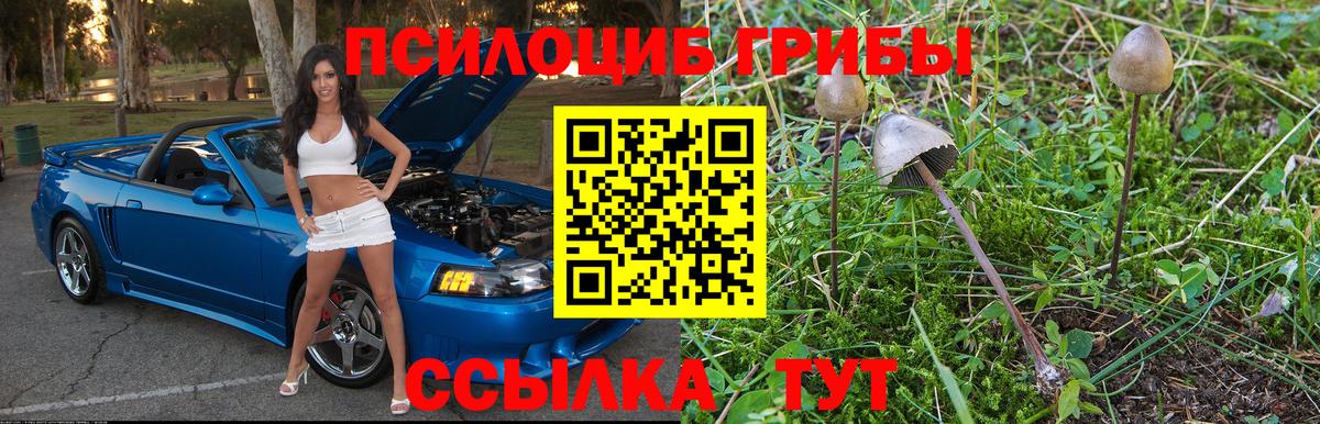 Галлюциногенные грибы Psilocybine cubensis  Вход с VPN  Оренбург 