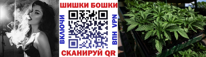 Канабис сатива  Оренбург 
